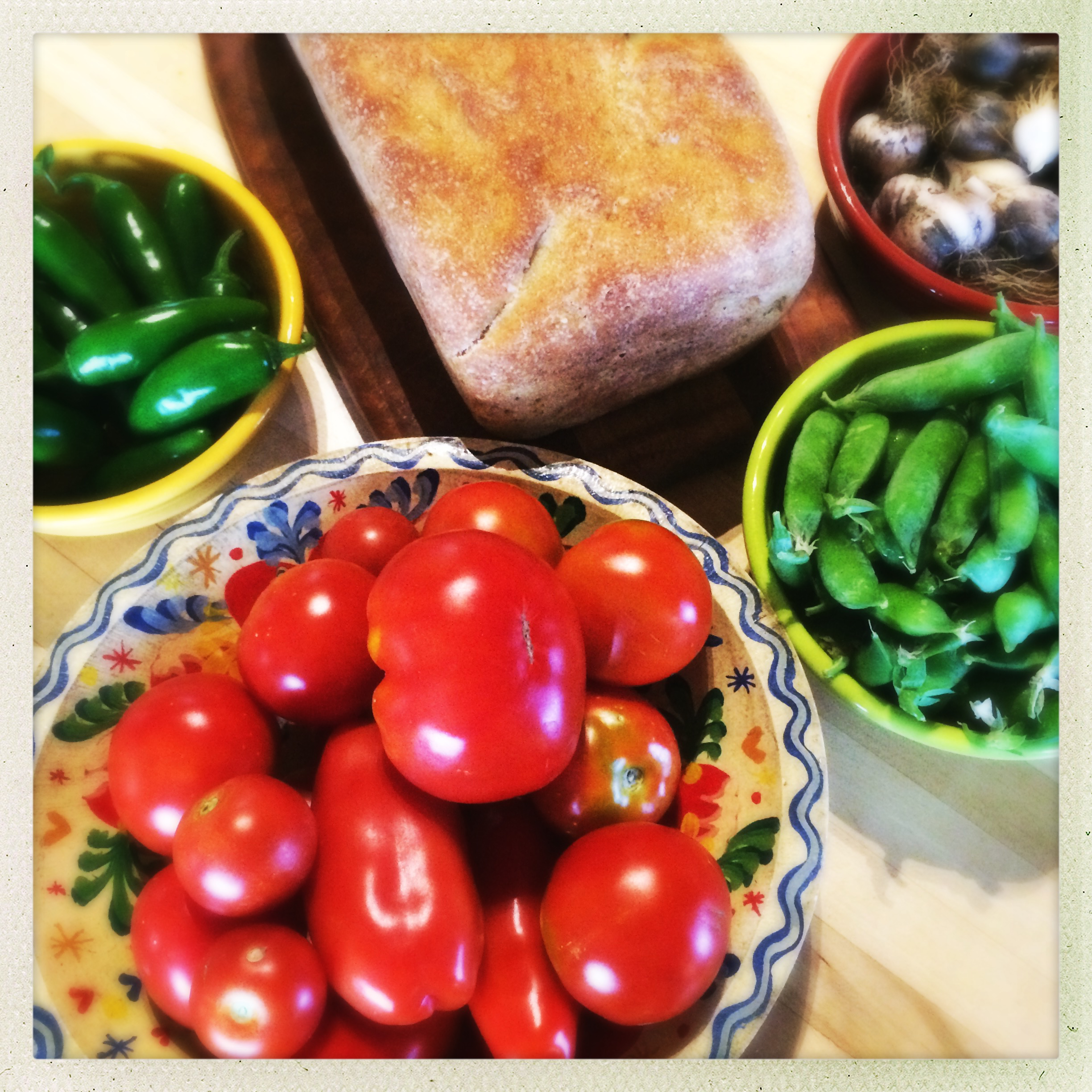Morning Ground Rounds This Week in the Garden | Morning Rounds